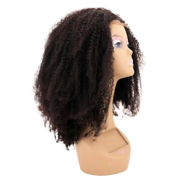 Afro Kinky Transparent Closure Wig Majestic Blendz