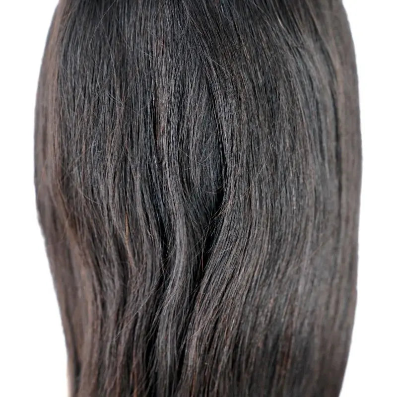 Straight Front Lace Wig Majestic Blendz