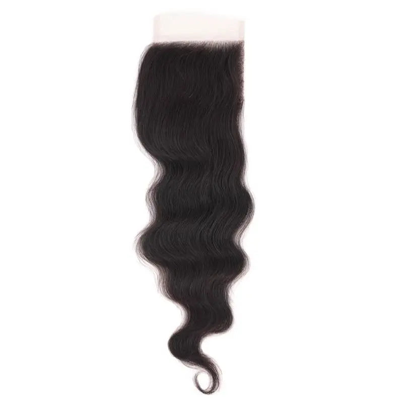 Brazilian Loose Wave 4x4 HD Closure Majestic Blendz